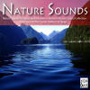 Nature Sounds for Sleep and Relaxation: Ambient Nature Sound Collection. Relax Sound Effect Series Gallery For Sleep cover artwork